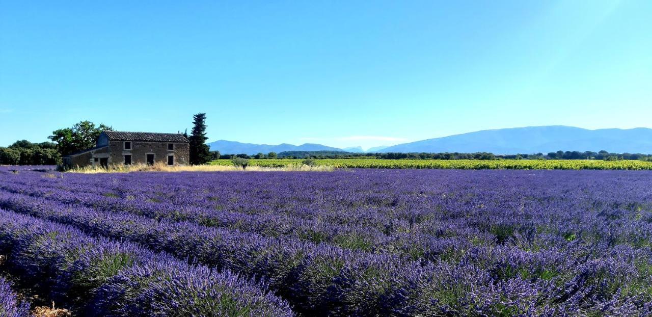 Villa L'Instant Provence Valréas Esterno foto