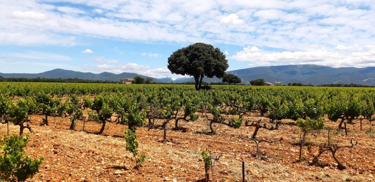 Villa L'Instant Provence Valréas Esterno foto