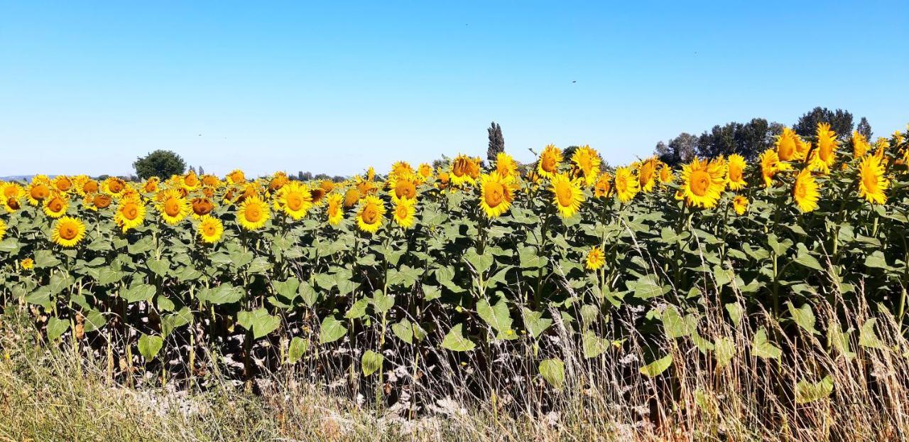 Villa L'Instant Provence Valréas Esterno foto